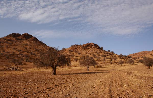 Tafraoute Antiatlas Marokko 4600