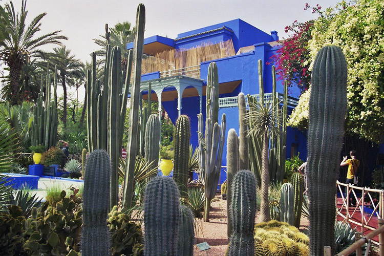 Le Jardin Majorelle, Marrakesch