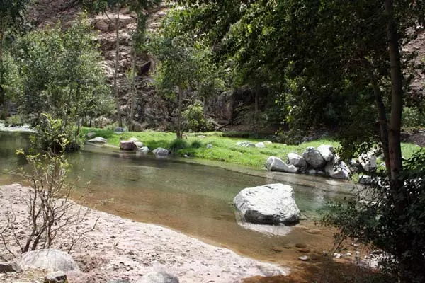 tiourdiou morocco