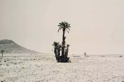 Winter in Marokko