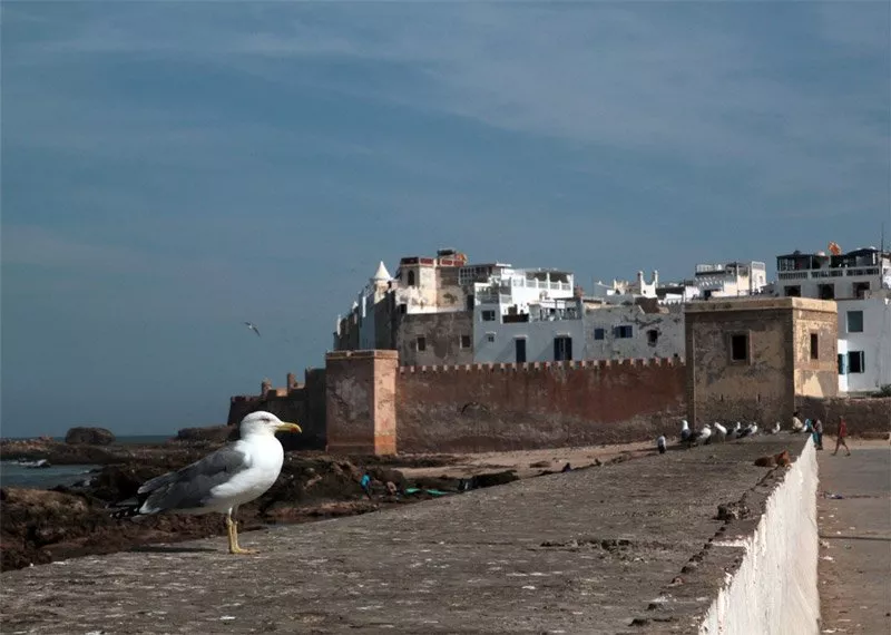 Essaouira Mogador